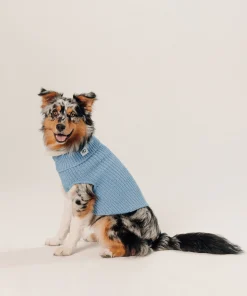 Discount Rodier Pull pour chien bleu gris