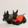 Outlet Rodier Pull pour chien orange