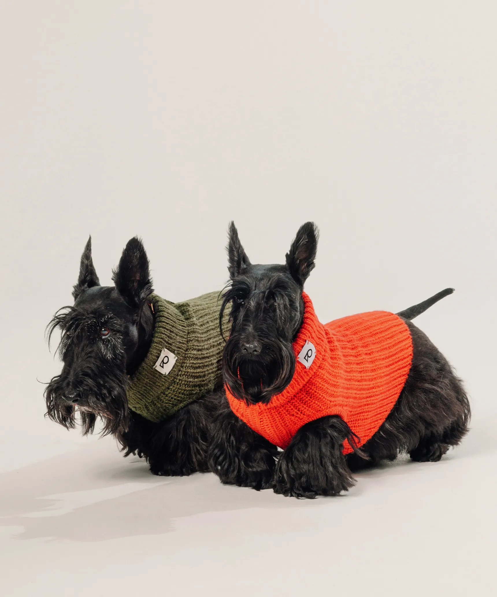 Outlet Rodier Pull pour chien orange